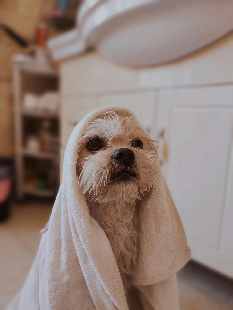 Alimentación y cosmética premium para mascotas
